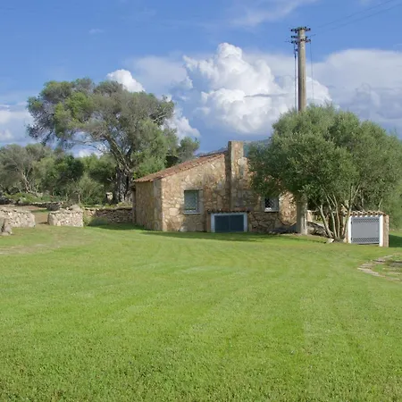 Petra D'arana * Palau