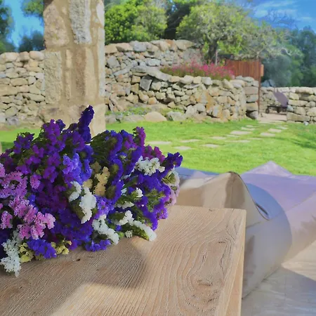 Villa Petra D'arana Palau