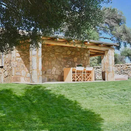 Petra D'arana
